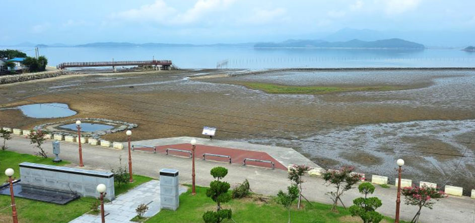 강진군 망호마을