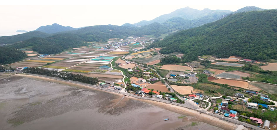 진도군 죽림어촌체험휴양마을