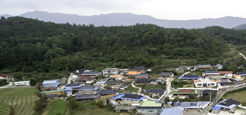 보성군 명교마을