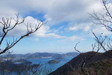 매봉산 등산로